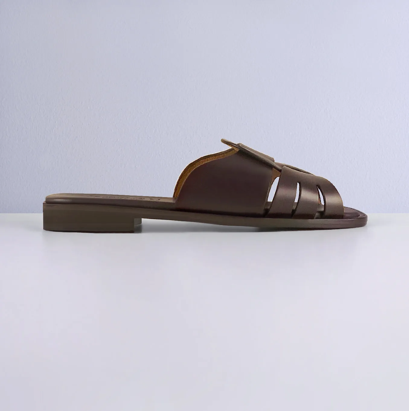 ANCORA SLIDE