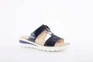 ARA - 47213 Mule Tampa Navy