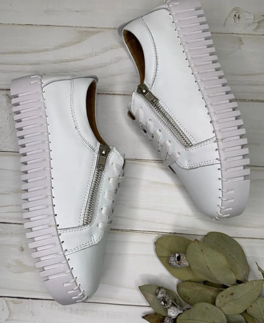 Bay Lane Medusa In White