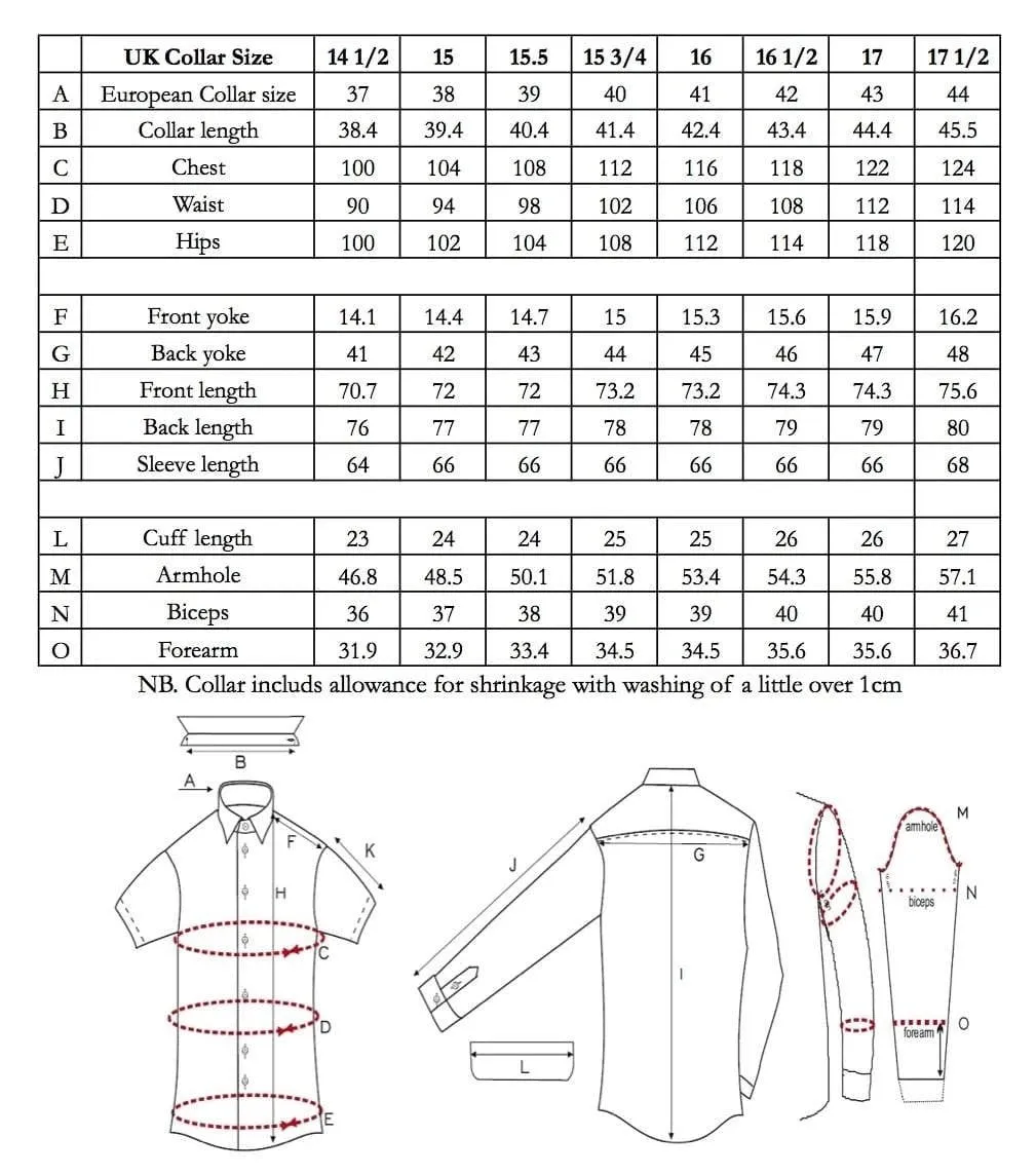 Champagne Point Collar Silk Shirt