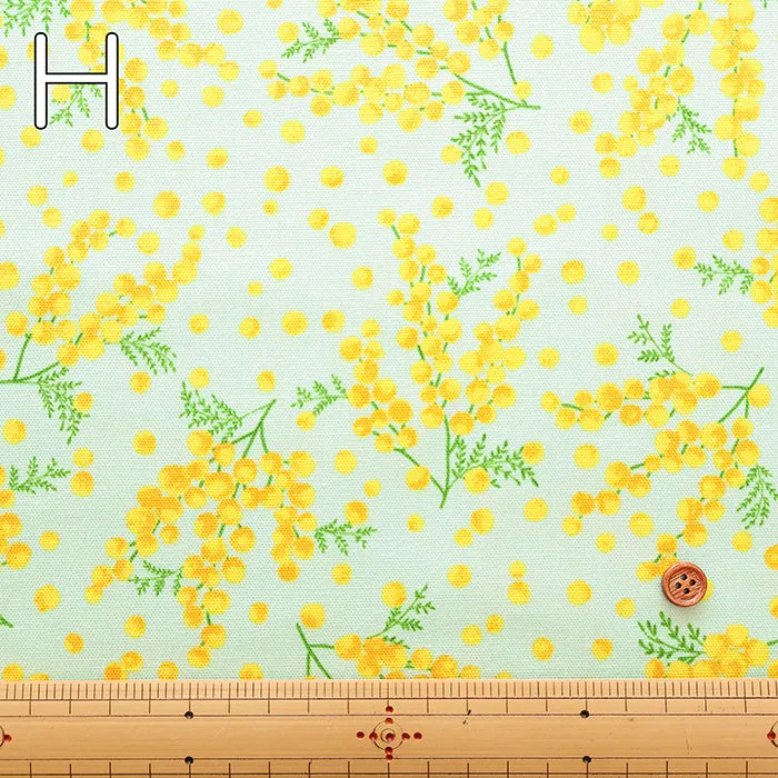 Cotton Oxford Fabric - Mimosa