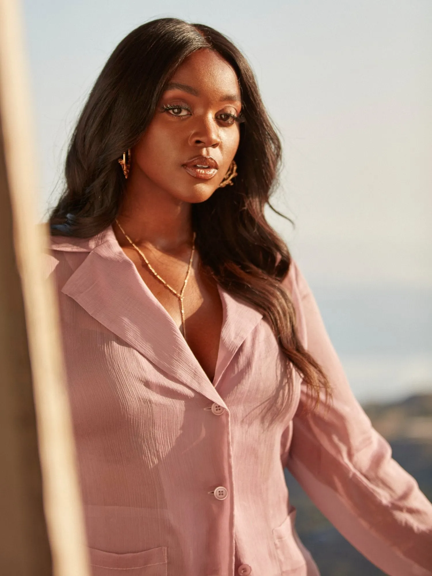 Lisette Sheer Button-Down Shirt