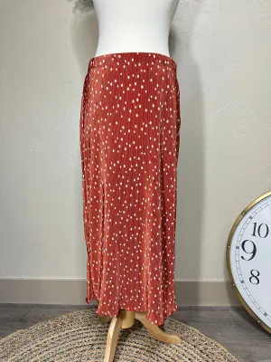 Liza’s Accordion Bodre Polka Dot Skirt
