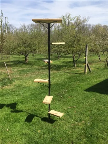 Purrfect Perch Outdoor Cat Tree