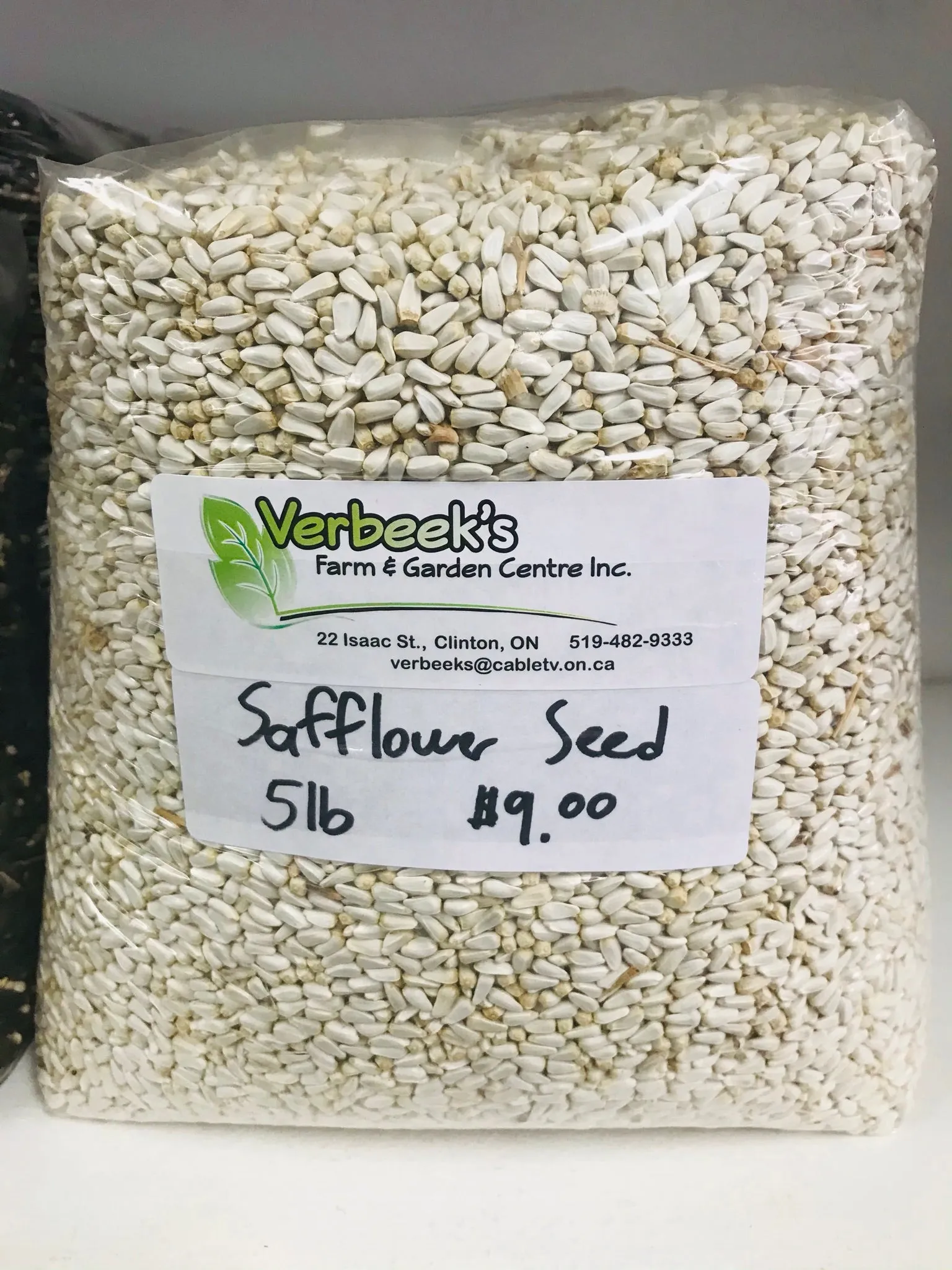 Safflower Seeds 5lb - Bulk