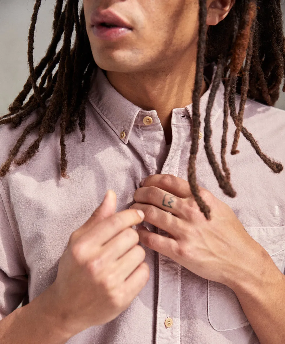 The Artist Oxford - FINAL SALE