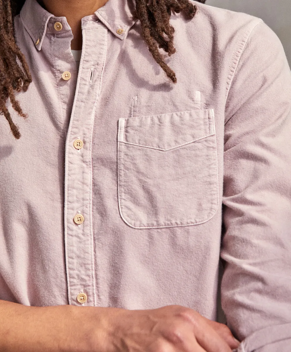 The Artist Oxford - FINAL SALE